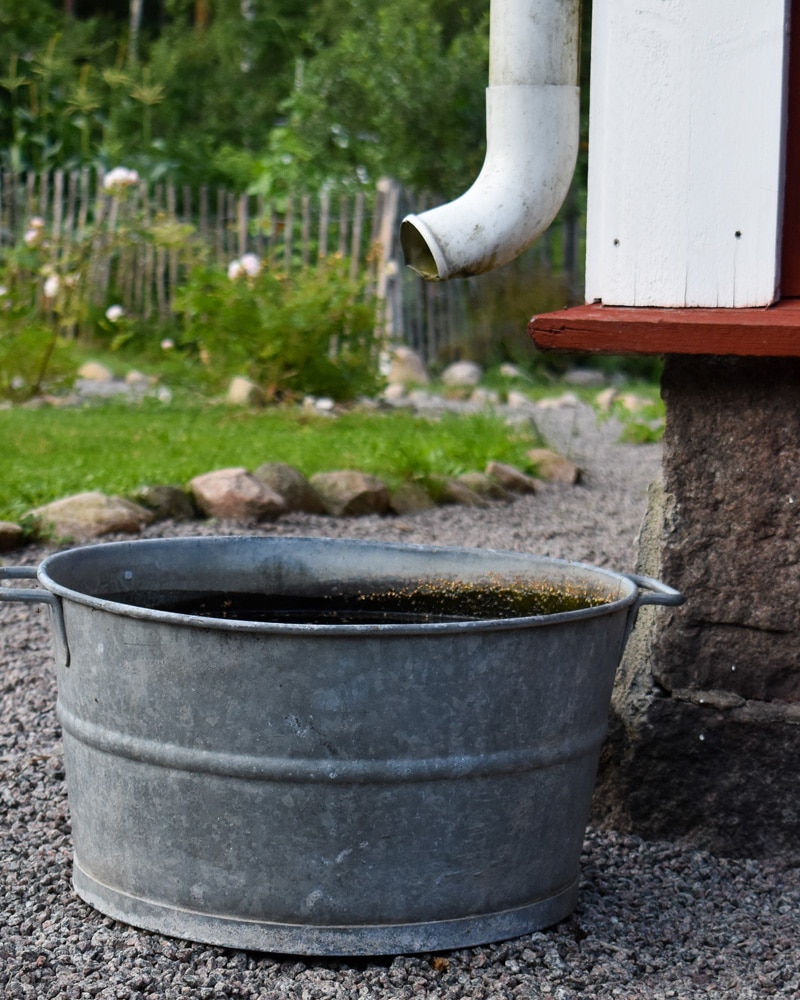 Hur du odlar mer klimatsmart samla regnvatten
